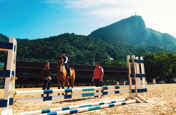 Cavalos de Salto  São Bernardo do Campo SP